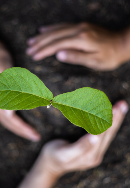 necesitas-un-acuerdo-matrimonial